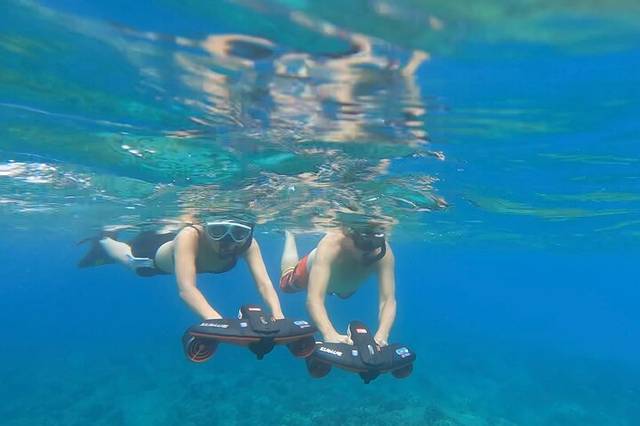 Turtle Snorkeling