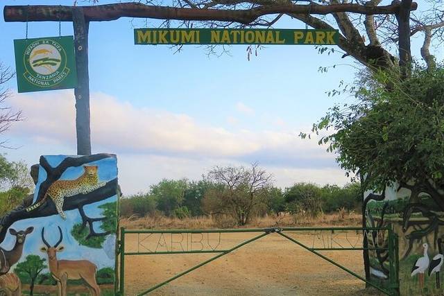 Selous Safari