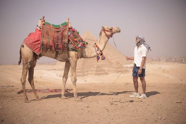 Saqqara & Memphis