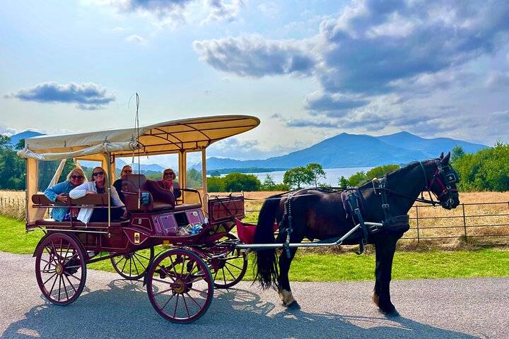 National Park, Killarney