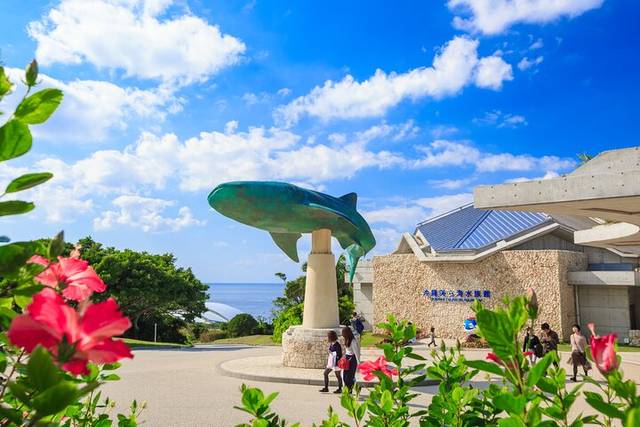 Round-Island Tour