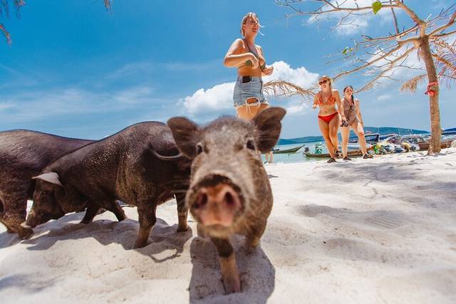 Koh Phangan