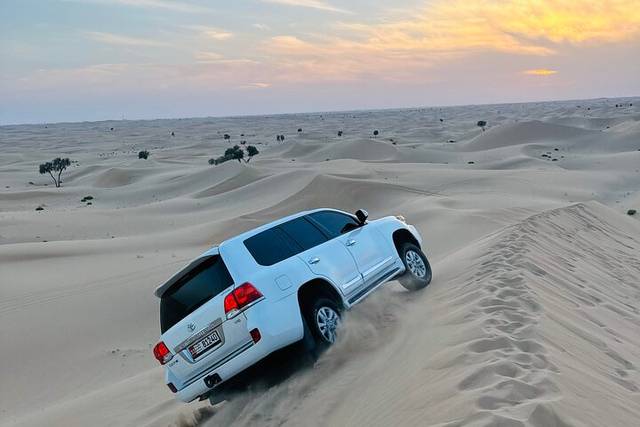 Desert Safari