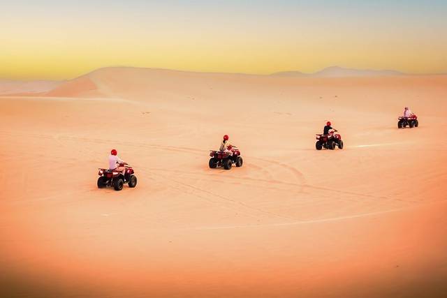 Desert Safari