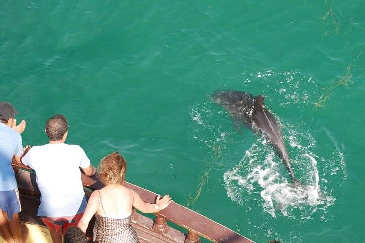 Flamingo Island, Djerba