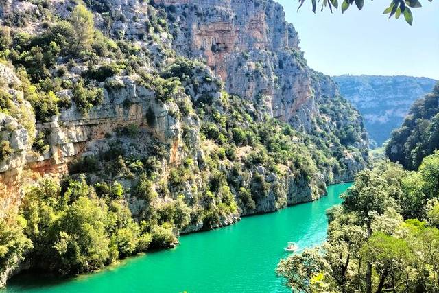 Provence & lavender
