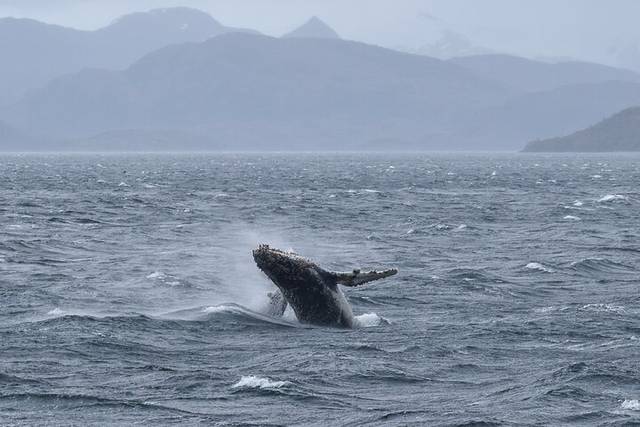 Strait of Magellan
