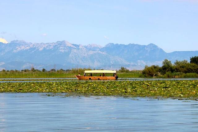 Skadar Lake