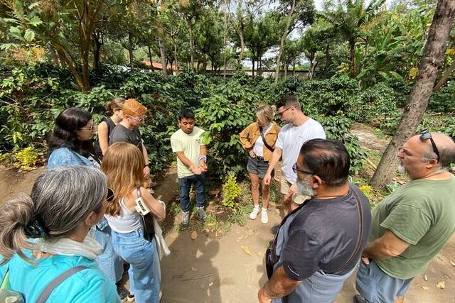 Coffee Farms