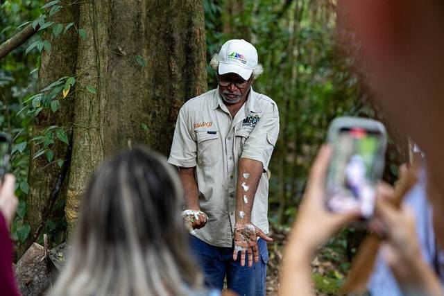 Daintree