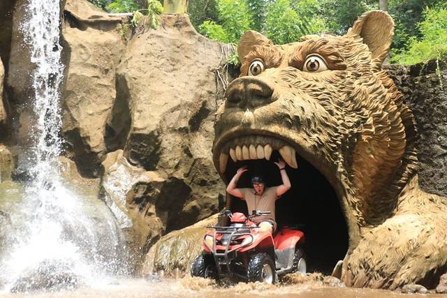 Jungle ATV