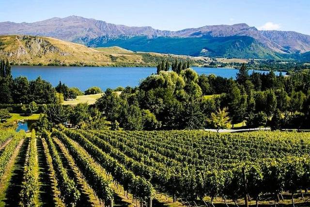 Gibbston Valley