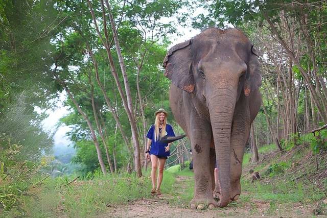 Elephant sanctuary