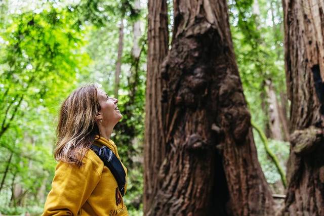 Muir Woods