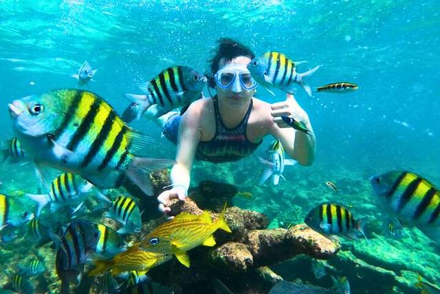 Rosario Islands