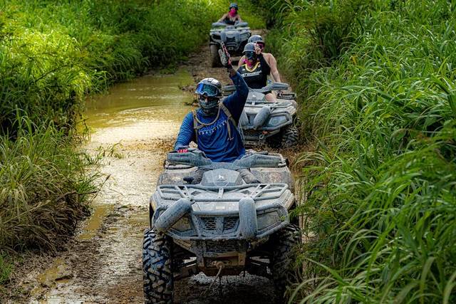 ATV Jungle