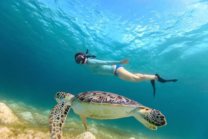 Coral & Turtles, Hikkaduwa