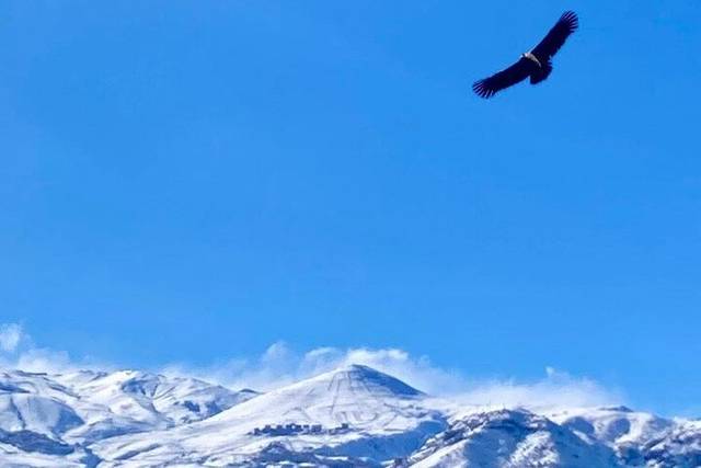 The Andes