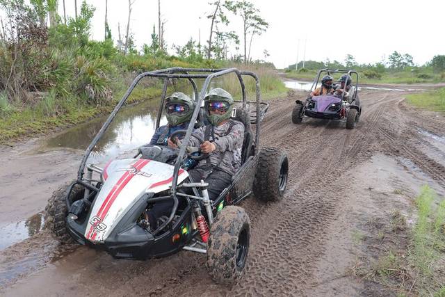 Jungle Trails