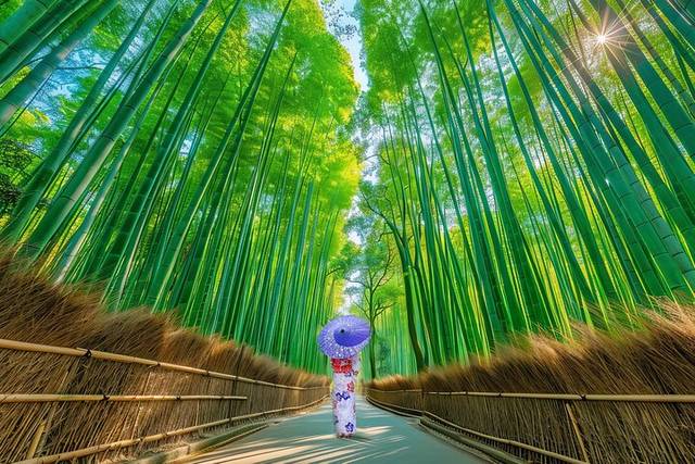 Nara Park