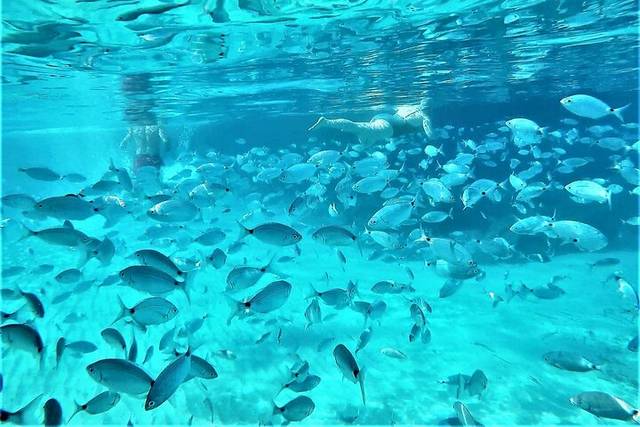 Sea Caves