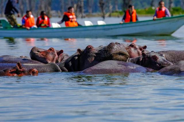 Lake Naivasha