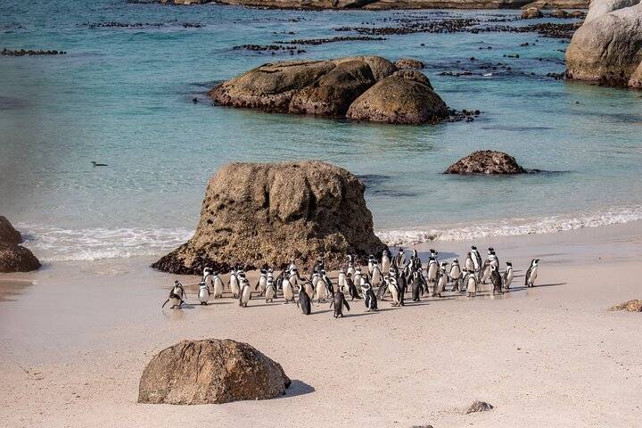 Cape of Good Hope, Cape Town