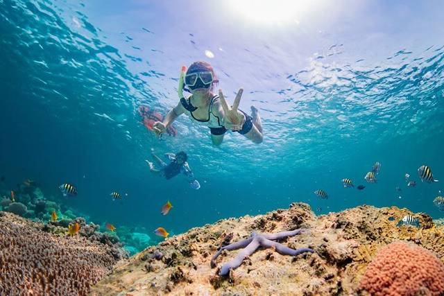 Coral Island