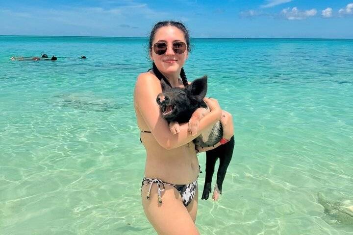 Swimming Pigs, Nassau
