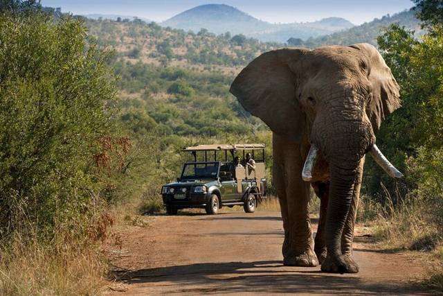 Pilanesberg