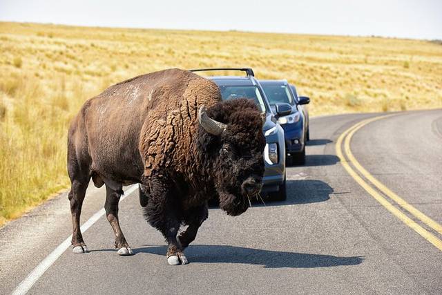 Antelope Island