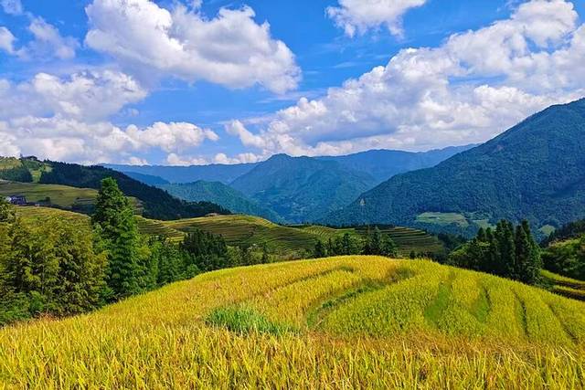 Longji Terraces