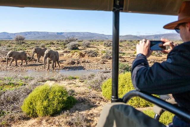 Big Five Safari