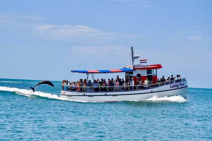 Dolphin Cruise, Clearwater