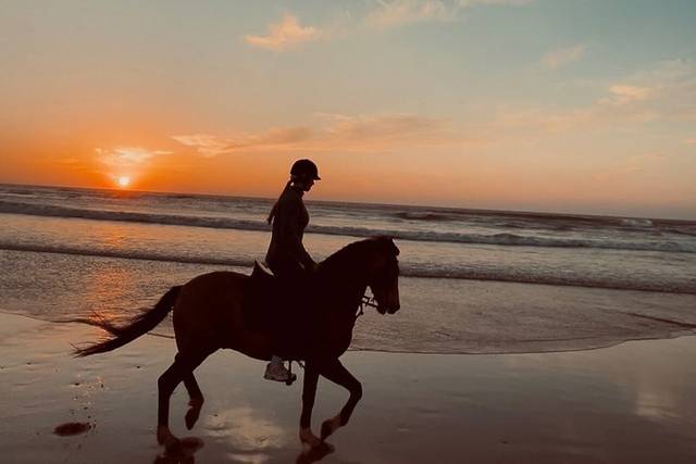 Essaouira Beach