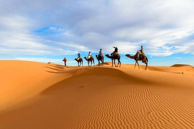 Desert Camp