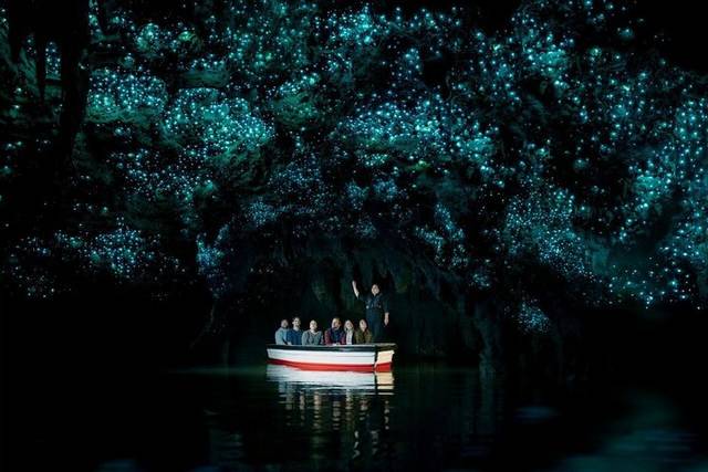Waitomo Caves