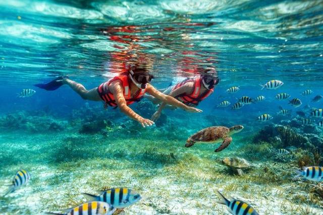 Surin Islands