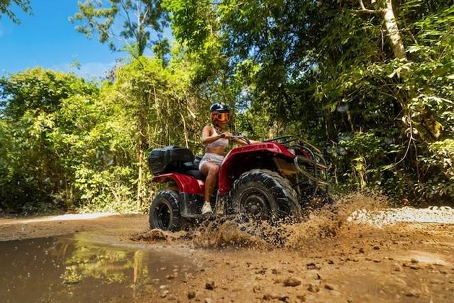 Jungle Adventure