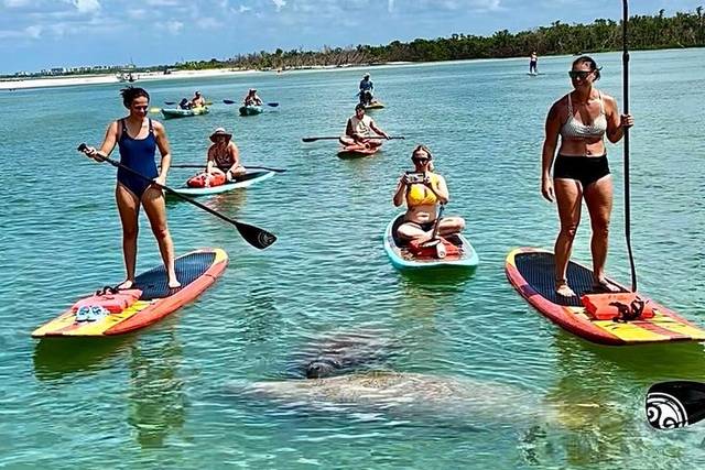 Marsh Kayaking