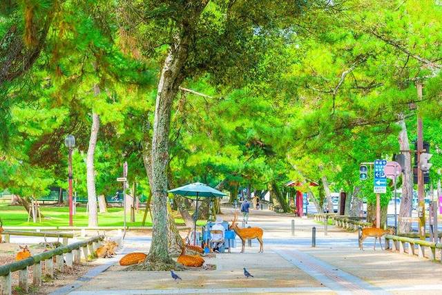 Nara