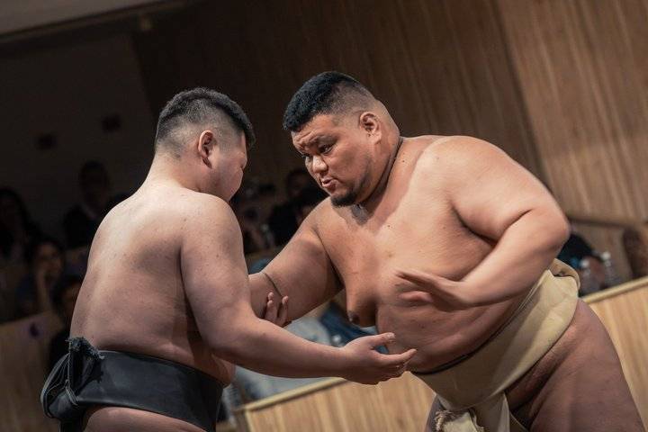 Sumo experience, Tokyo