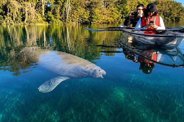 Silver Springs & Rock Springs