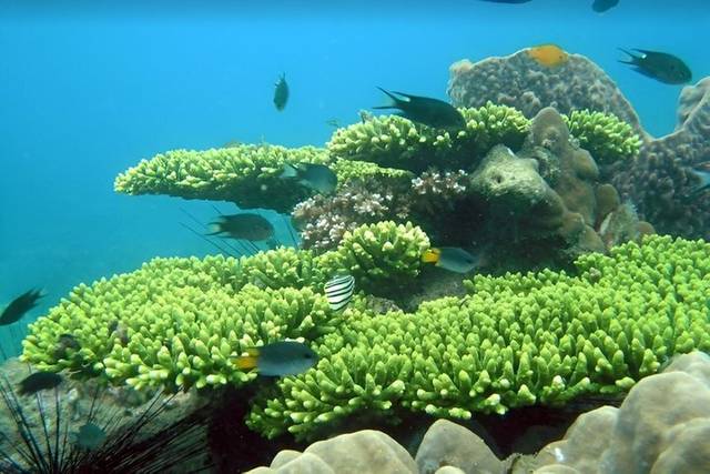 An Thoi Islands