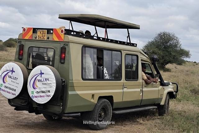 Balloon Safari