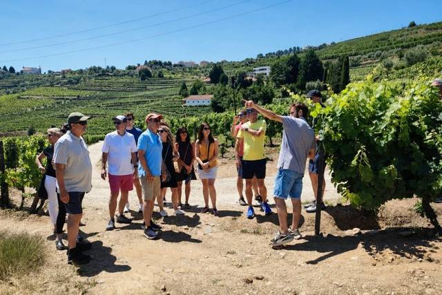 Douro Valley