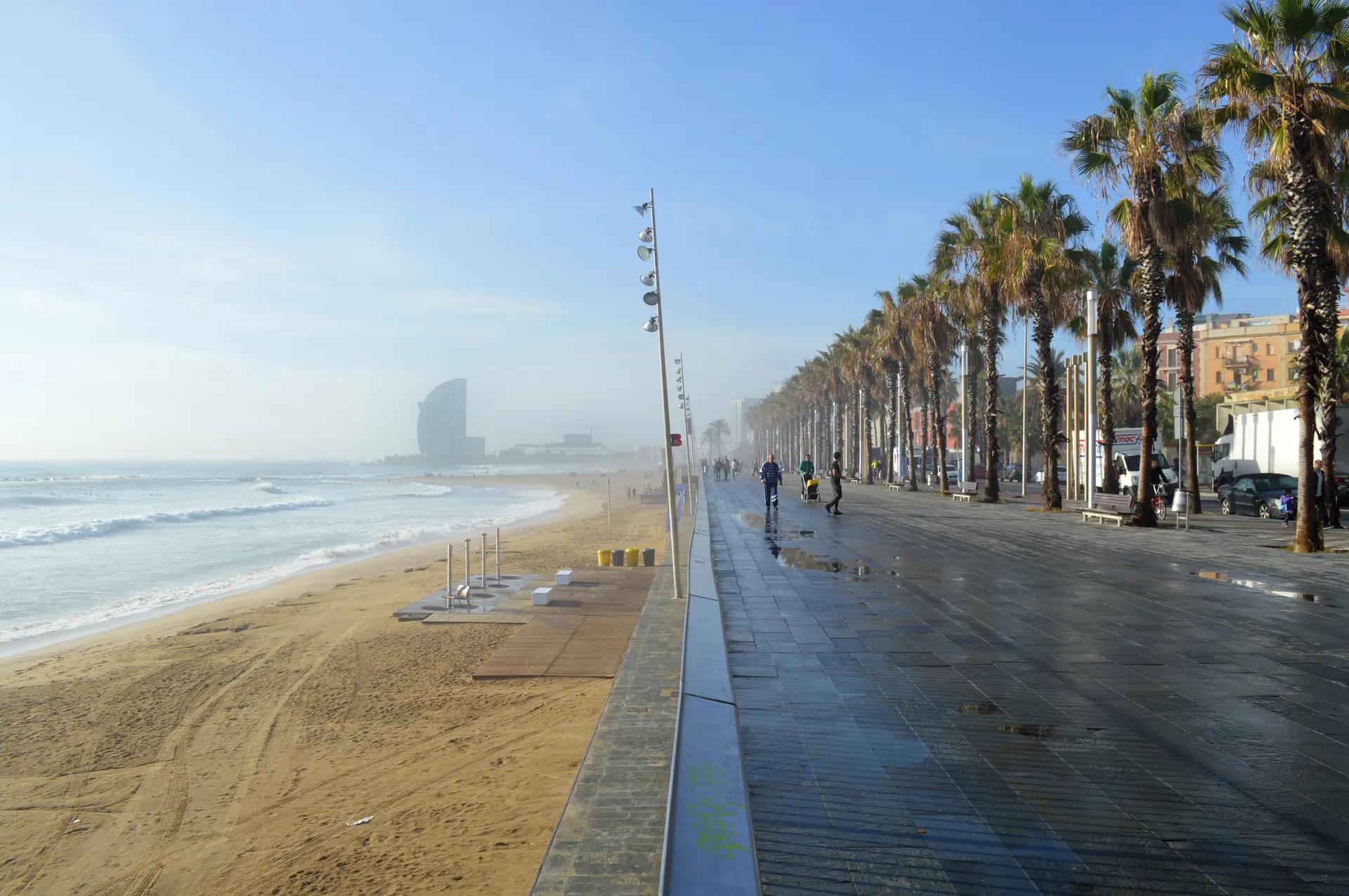 Palm-lined promenade beside Barceloneta beach