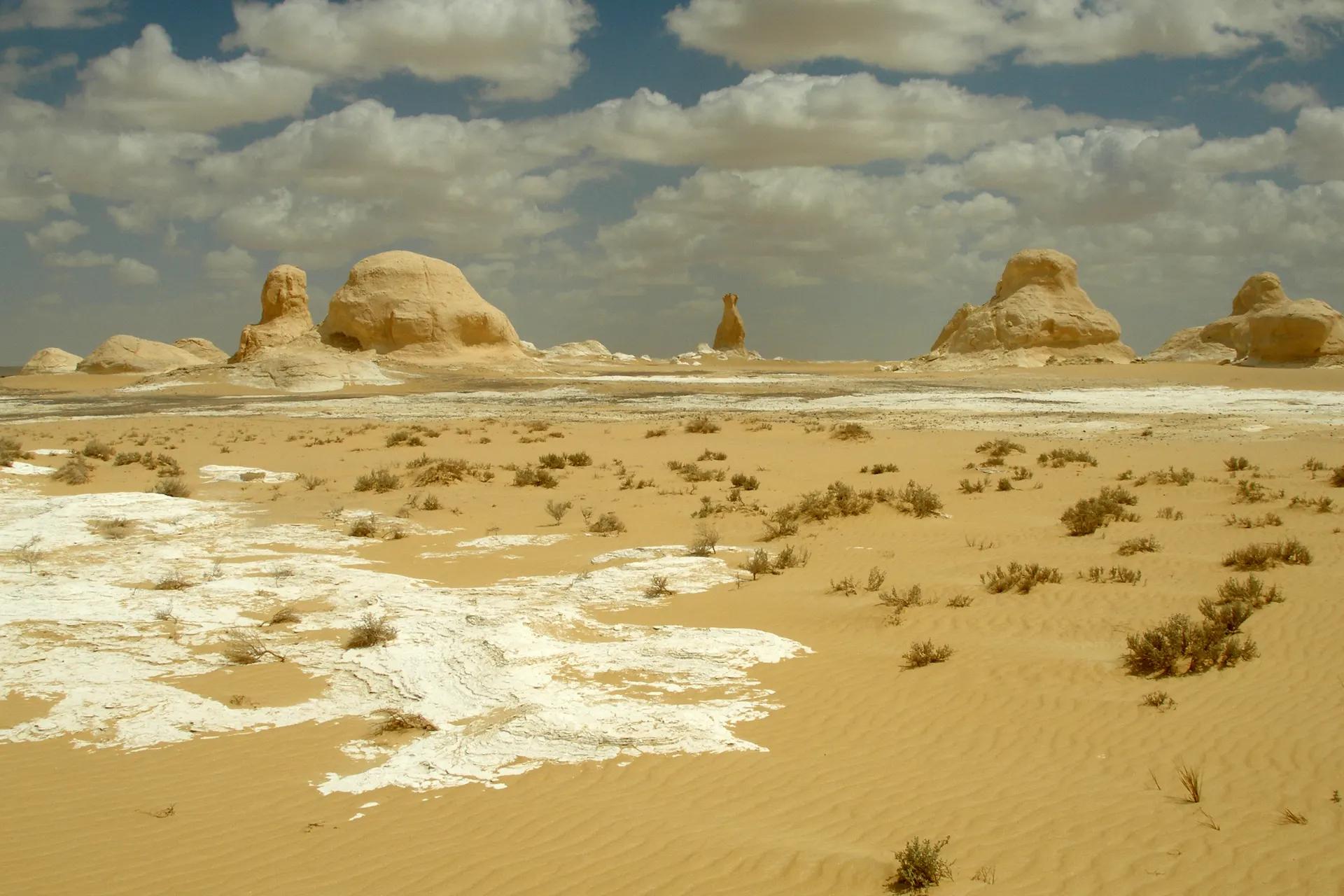 Wind-eroded white chalk formations rising from the sand in the White Desert