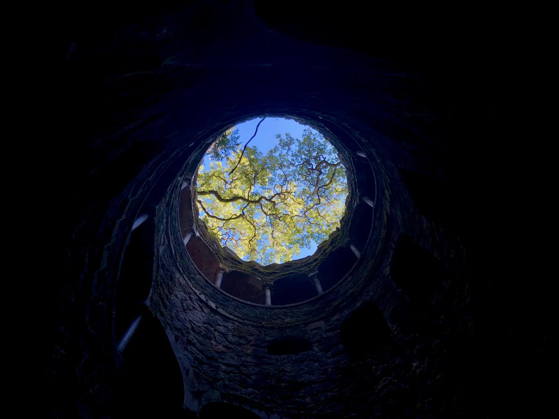 Looking up from the bottom of the Initiation Well at Quinta da Regaleira to the trees above