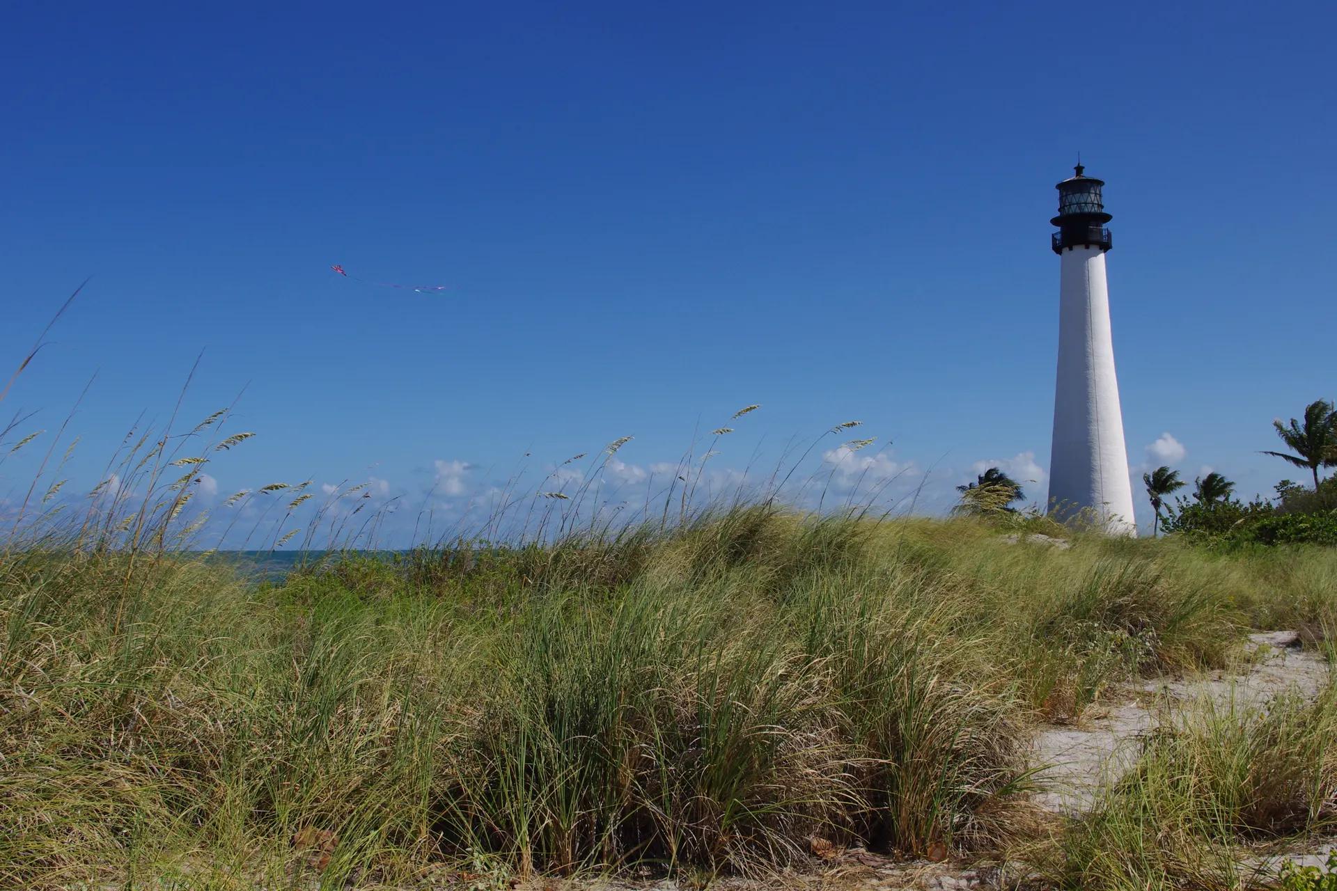 White Cape Florida lighthouse behind dune grasses on Key Biscayne